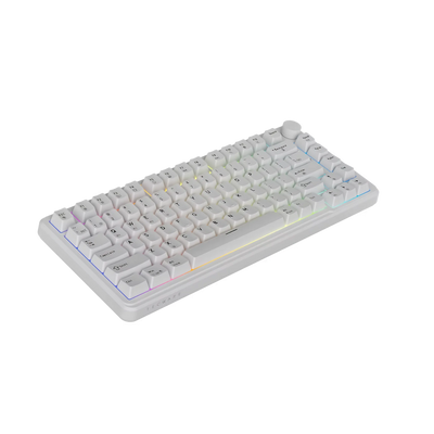 Tecware Ghost 75
