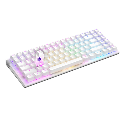NZXT Function 2 MiniTKL RGB